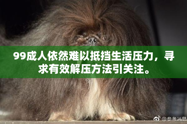 99成人依然难以抵挡生活压力，寻求有效解压方法引关注。