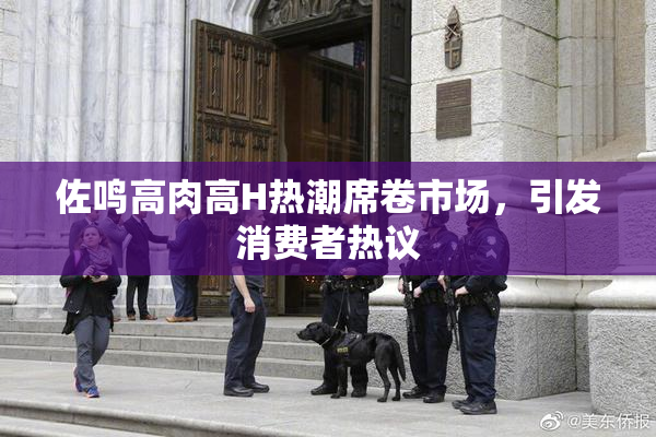 佐鸣高肉高H热潮席卷市场，引发消费者热议