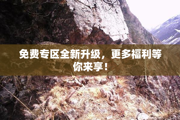 免费专区全新升级，更多福利等你来享！