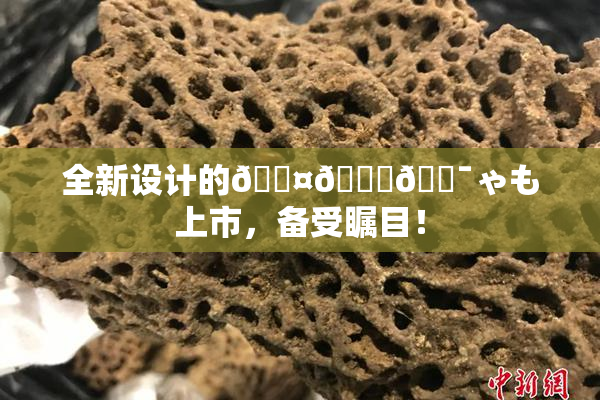全新设计的🖤🌃🔯ゃも上市，备受瞩目！