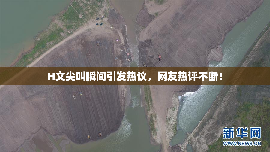 H文尖叫瞬间引发热议，网友热评不断！