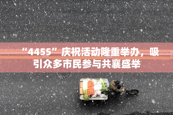 “4455”庆祝活动隆重举办，吸引众多市民参与共襄盛举