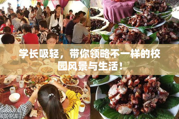 学长吸轻，带你领略不一样的校园风景与生活！