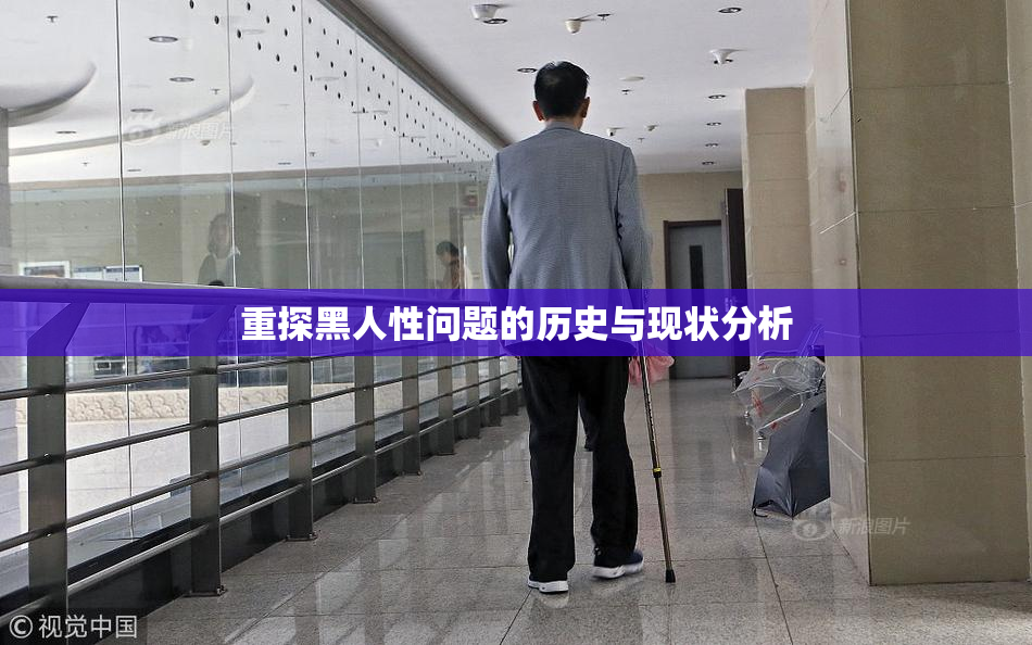 重探黑人性问题的历史与现状分析