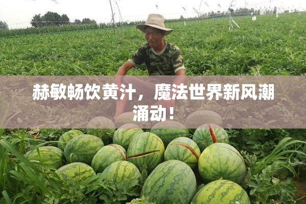 赫敏畅饮黄汁，魔法世界新风潮涌动！
