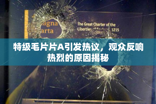 特级毛片片A引发热议，观众反响热烈的原因揭秘