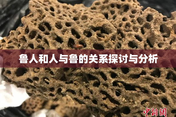鲁人和人与鲁的关系探讨与分析