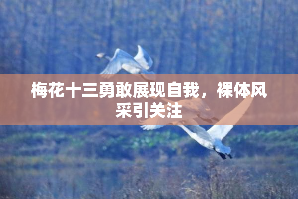 梅花十三勇敢展现自我，裸体风采引关注