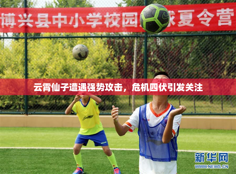 云霄仙子遭遇强势攻击，危机四伏引发关注