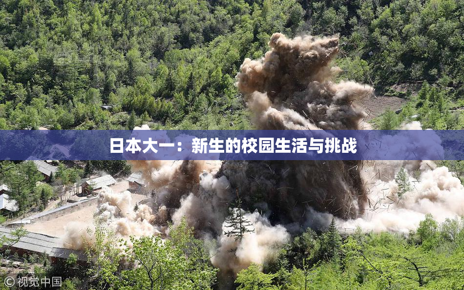 日本大一：新生的校园生活与挑战