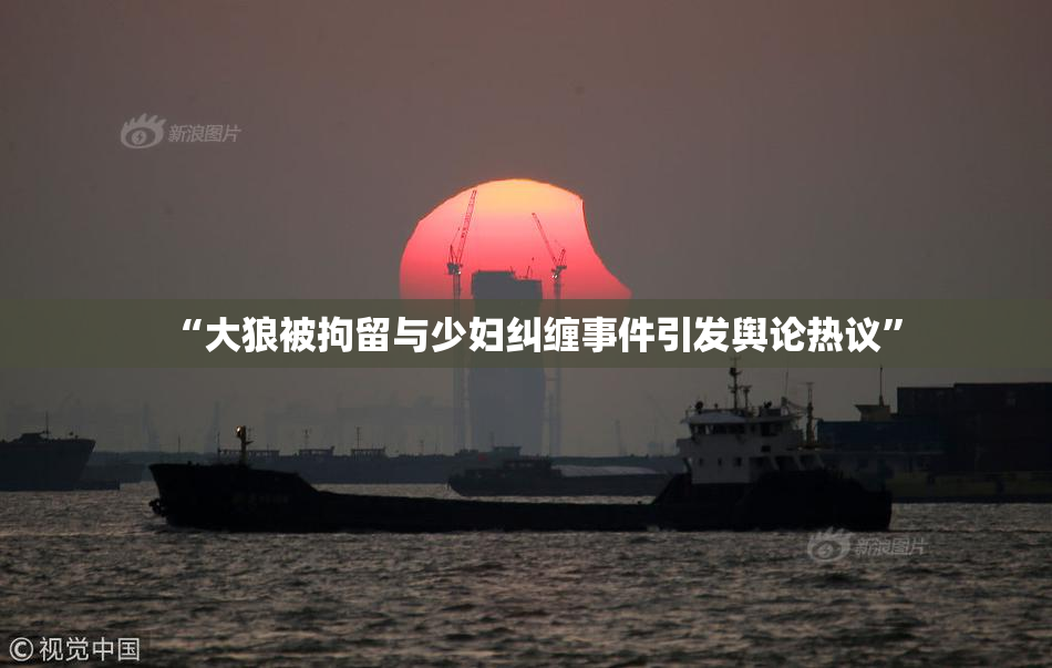 “大狼被拘留与少妇纠缠事件引发舆论热议”