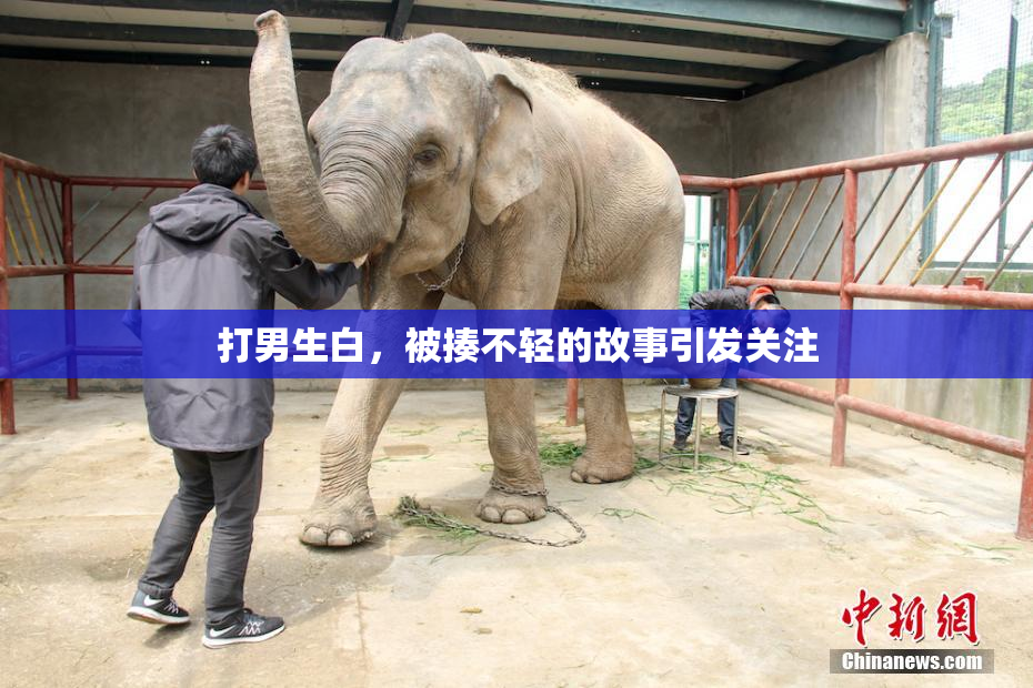 打男生白，被揍不轻的故事引发关注