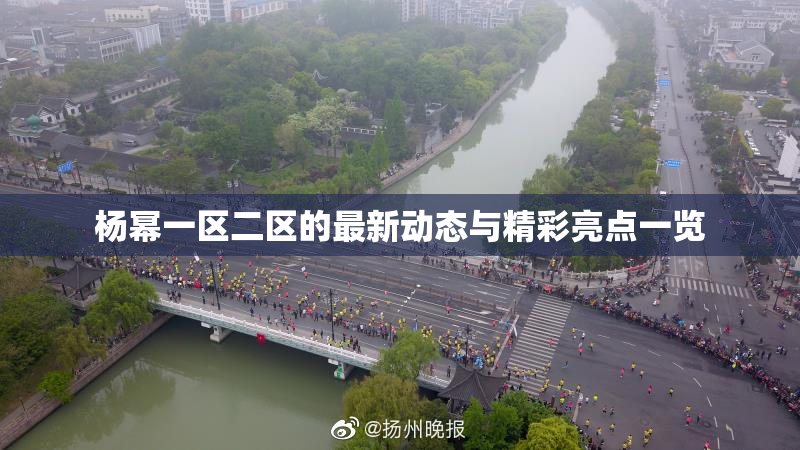 杨幂一区二区的最新动态与精彩亮点一览