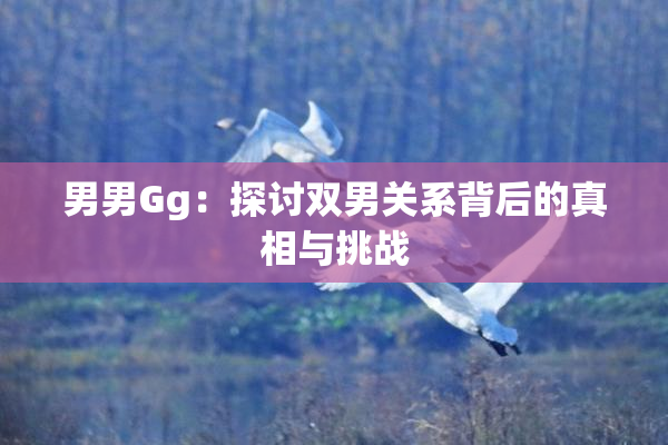 男男Gg：探讨双男关系背后的真相与挑战