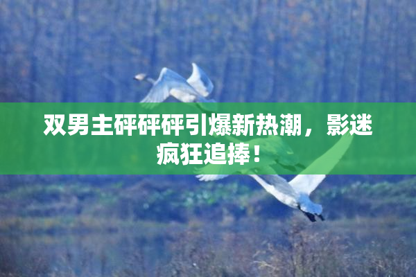 双男主砰砰砰引爆新热潮，影迷疯狂追捧！
