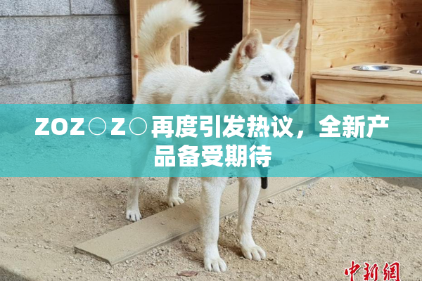 ZOZ○Z○再度引发热议，全新产品备受期待
