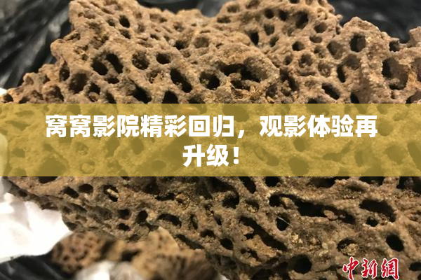 窝窝影院精彩回归，观影体验再升级！