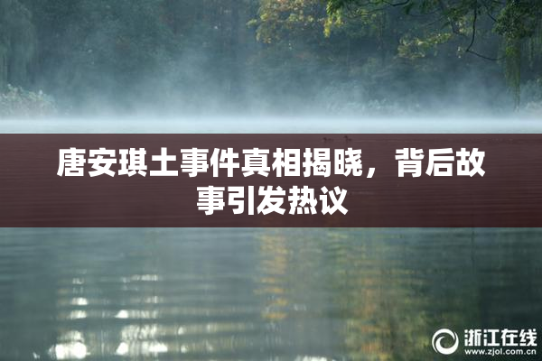 唐安琪土事件真相揭晓，背后故事引发热议