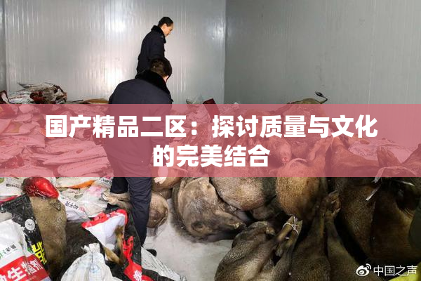 国产精品二区：探讨质量与文化的完美结合
