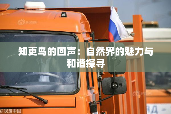 知更鸟的回声：自然界的魅力与和谐探寻