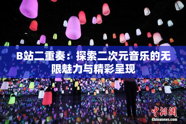 B站二重奏：探索二次元音乐的无限魅力与精彩呈现