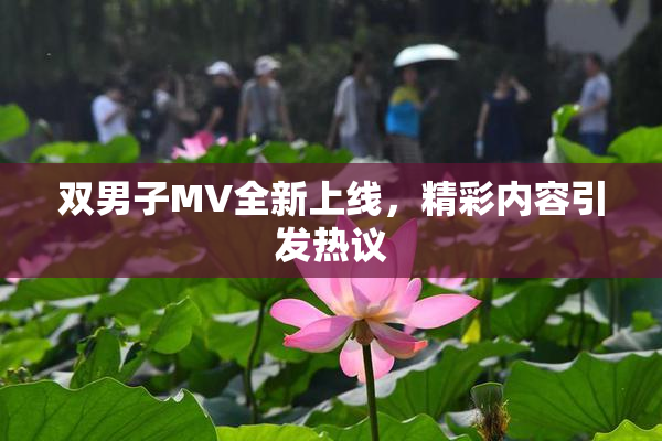 双男子MV全新上线，精彩内容引发热议