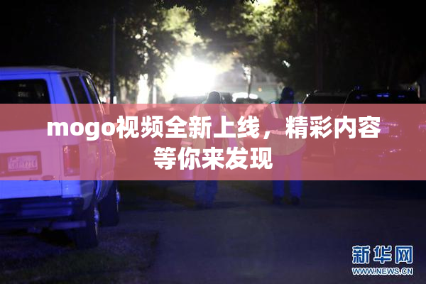 mogo视频全新上线，精彩内容等你来发现