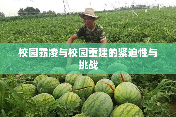 校园霸凌与校园重建的紧迫性与挑战