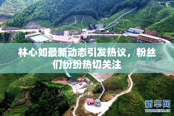 林心如最新动态引发热议，粉丝们纷纷热切关注