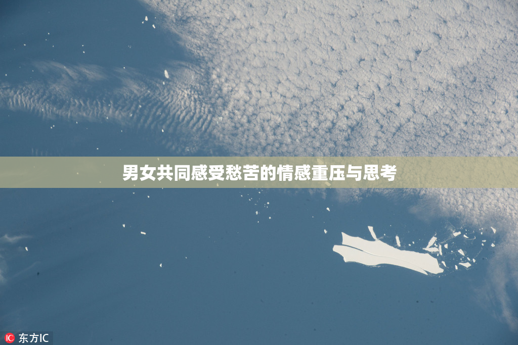 男女共同感受愁苦的情感重压与思考