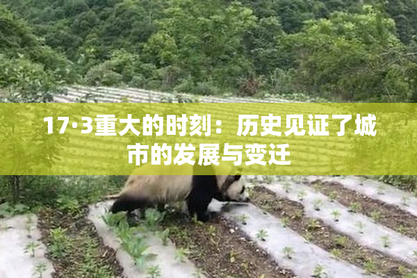 17·3重大的时刻：历史见证了城市的发展与变迁