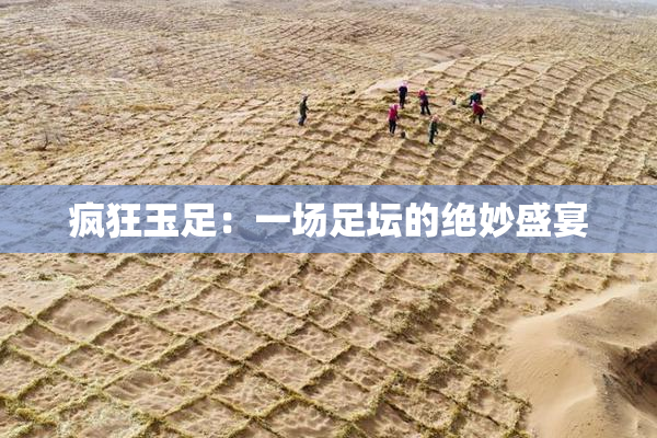 疯狂玉足：一场足坛的绝妙盛宴
