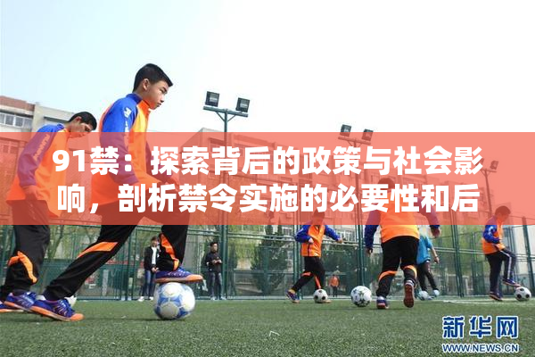 91禁：探索背后的政策与社会影响，剖析禁令实施的必要性和后果