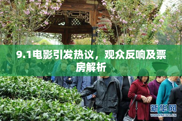 9.1电影引发热议，观众反响及票房解析