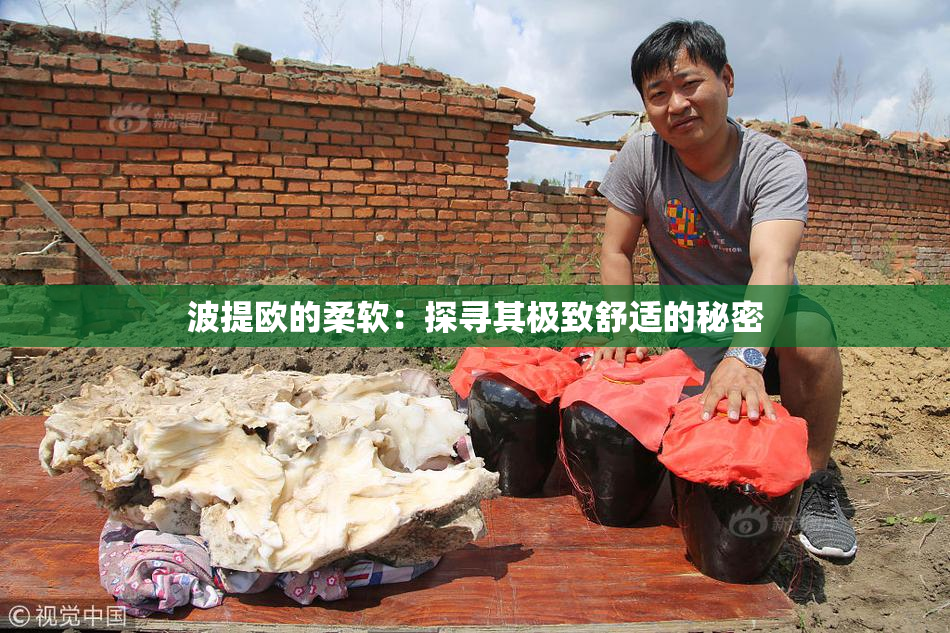 波提欧的柔软：探寻其极致舒适的秘密