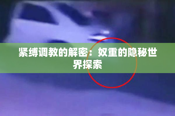 紧缚调教的解密：奴重的隐秘世界探索