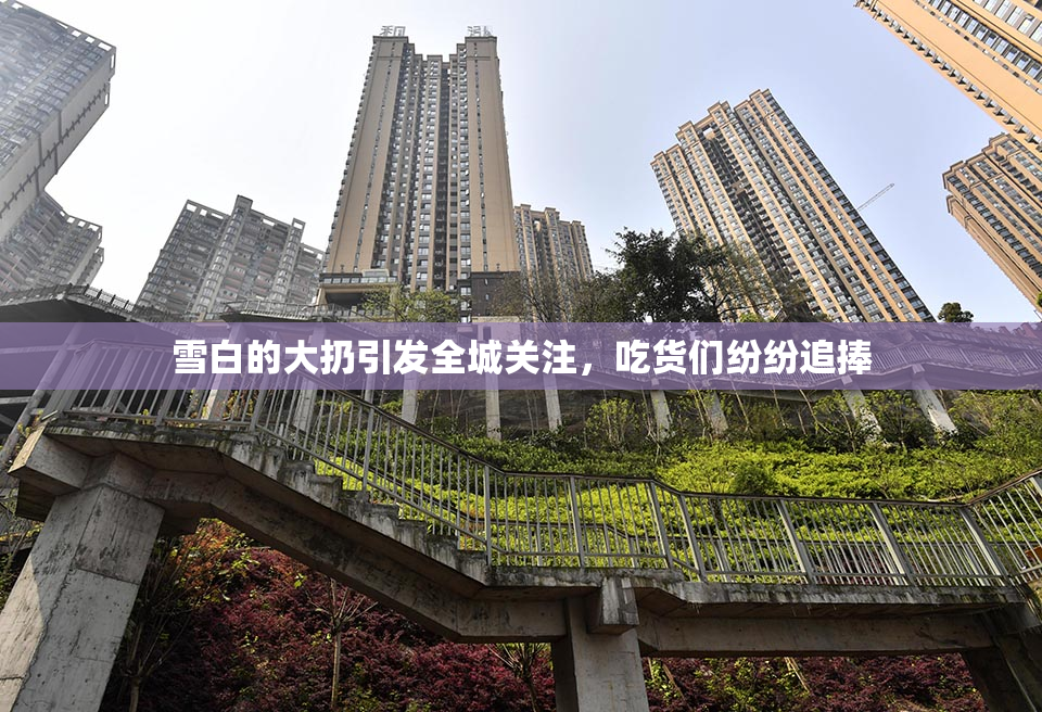 雪白的大扔引发全城关注，吃货们纷纷追捧