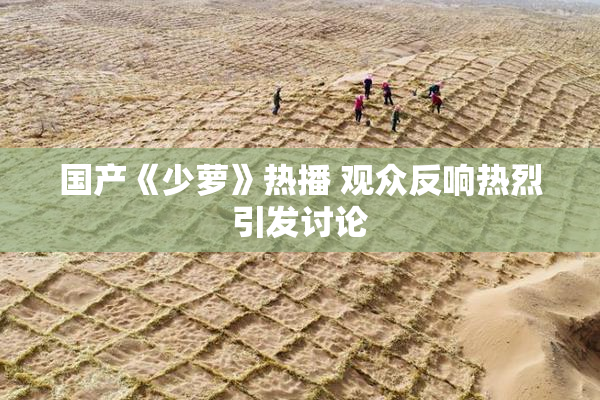 国产《少萝》热播 观众反响热烈引发讨论