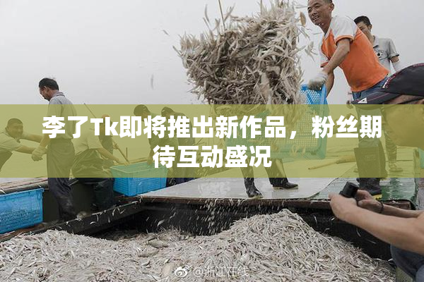 李了Tk即将推出新作品，粉丝期待互动盛况
