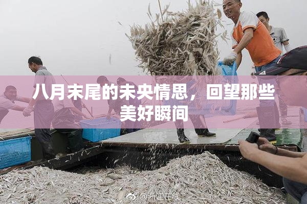 八月末尾的未央情思，回望那些美好瞬间