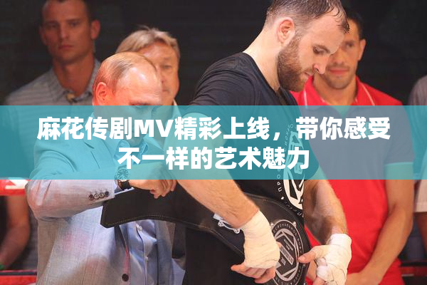 麻花传剧MV精彩上线，带你感受不一样的艺术魅力