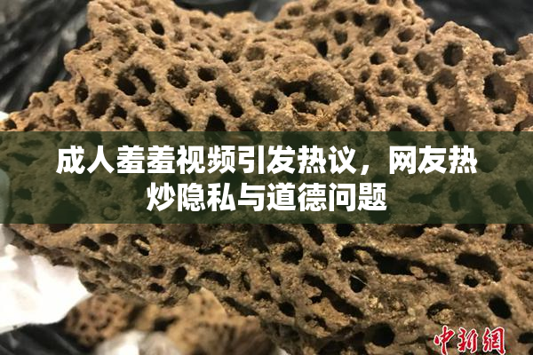 成人羞羞视频引发热议，网友热炒隐私与道德问题