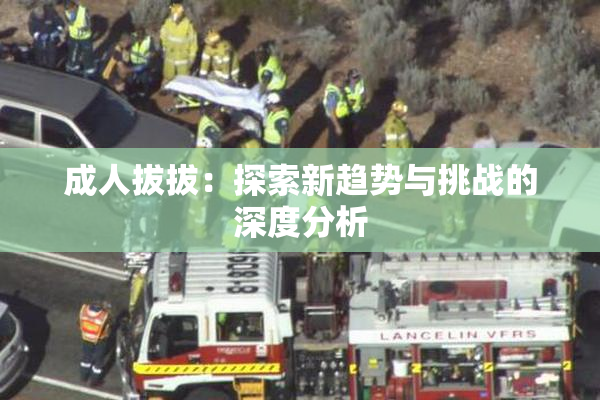 成人拔拔：探索新趋势与挑战的深度分析