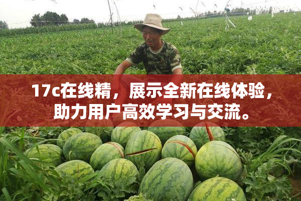 17c在线精，展示全新在线体验，助力用户高效学习与交流。