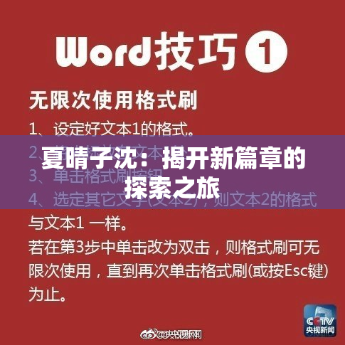 夏晴子沈：揭开新篇章的探索之旅