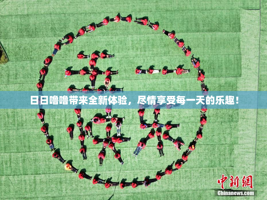 日日噜噜带来全新体验，尽情享受每一天的乐趣！