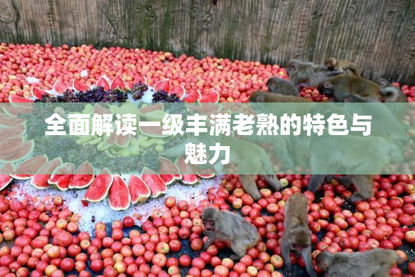 全面解读一级丰满老熟的特色与魅力