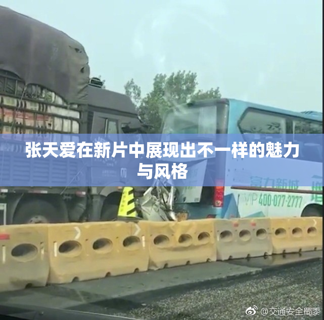 张天爱在新片中展现出不一样的魅力与风格