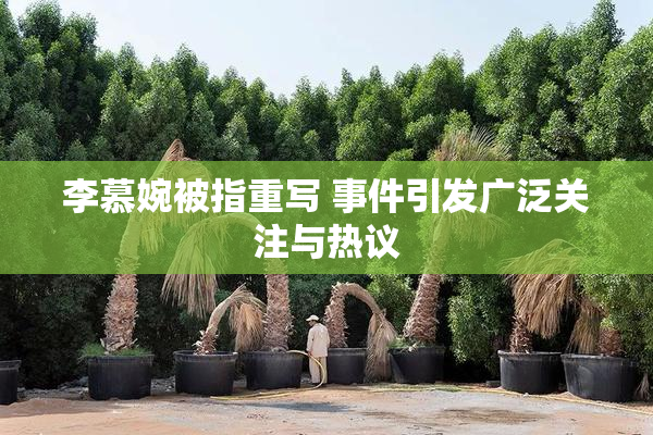 李慕婉被指重写 事件引发广泛关注与热议
