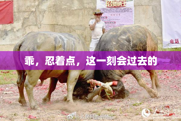 乖，忍着点，这一刻会过去的